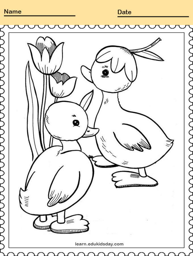 Printable Coloring Duck